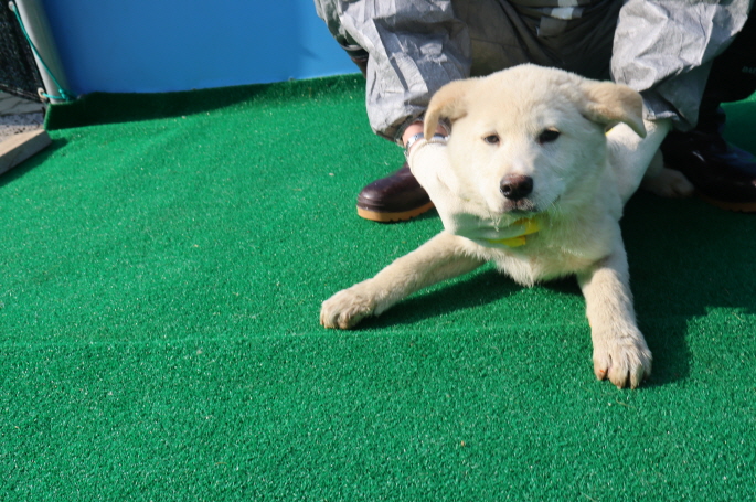 제주 동물보호센터_450650202400944