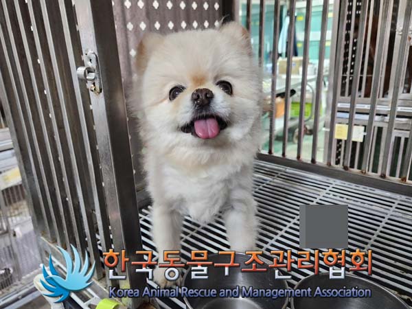 한국동물구조관리협회_411306202400227