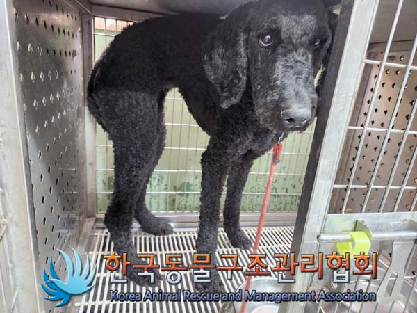 한국동물구조관리협회_411318202400058
