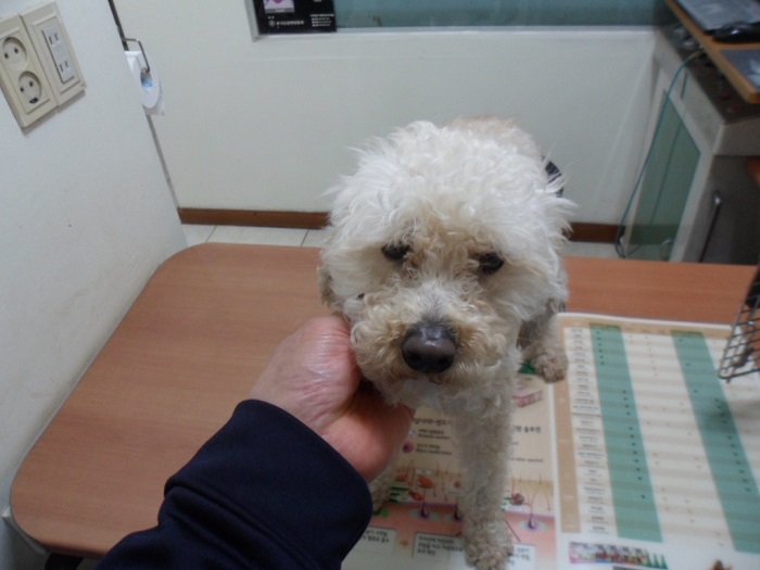 강현림동물병원_411320202400167