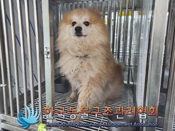 한국동물구조관리협회_441392202400053