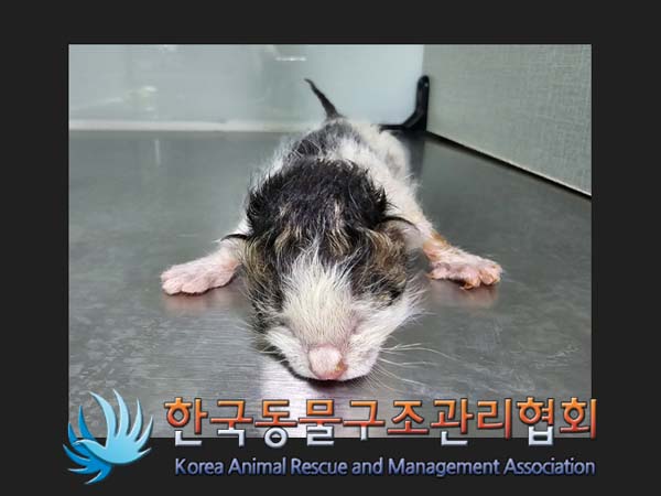 종료(자연사) 한국…