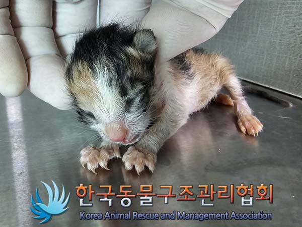 종료(자연사) 한국…