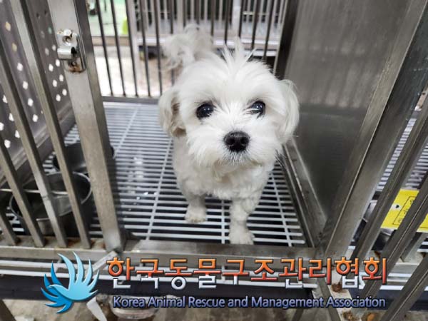 한국동물구조관리협회_411323202400366