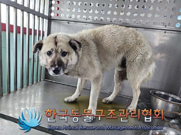 한국동물구조관리협회_441559202400192