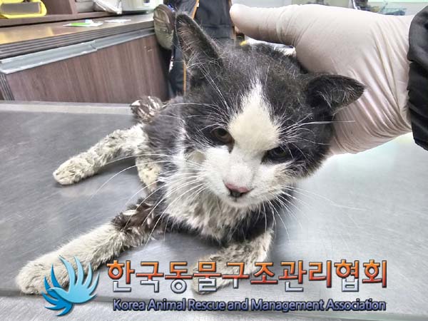 한국동물구조관리협회_411305202400140