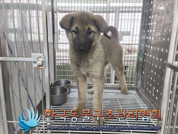 종료(자연사) 믹스…