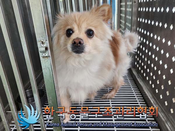 한국동물구조관리협회_441398202400093