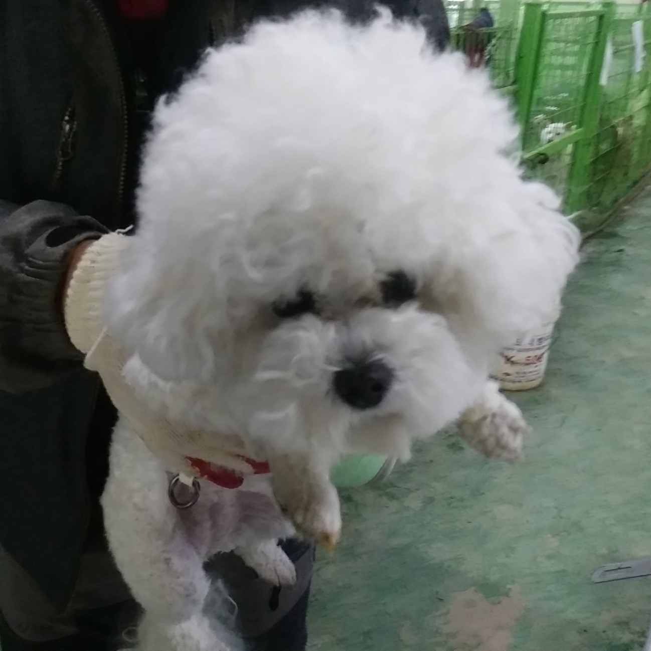 인천광역시수의사회_428352202400110