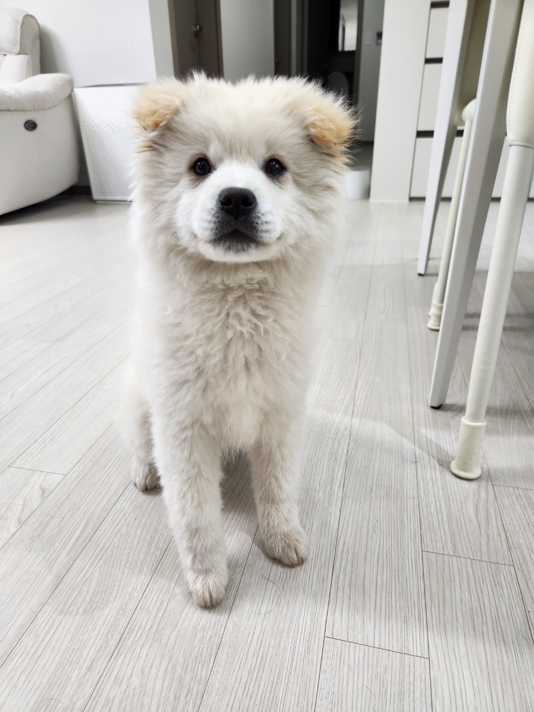 금일동물보호센터_444460202400129