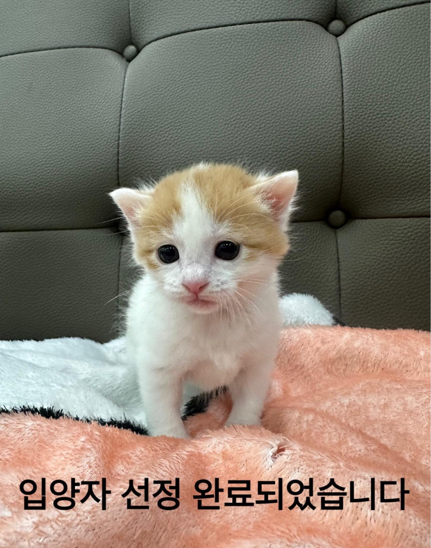멘토동물병원_427346202400257