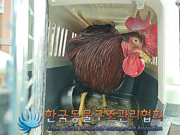 한국동물구조관리협회_411301202400094