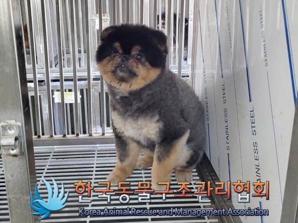 한국동물구조관리협회_411322202400116