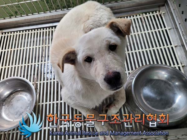 한국동물구조관리협회_441559202400193