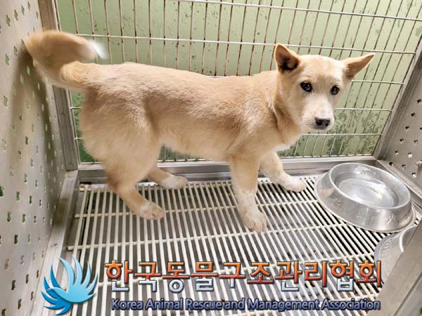 한국동물구조관리협회_441414202400157