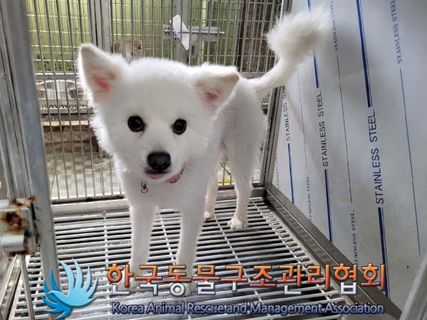 한국동물구조관리협회_411309202400059