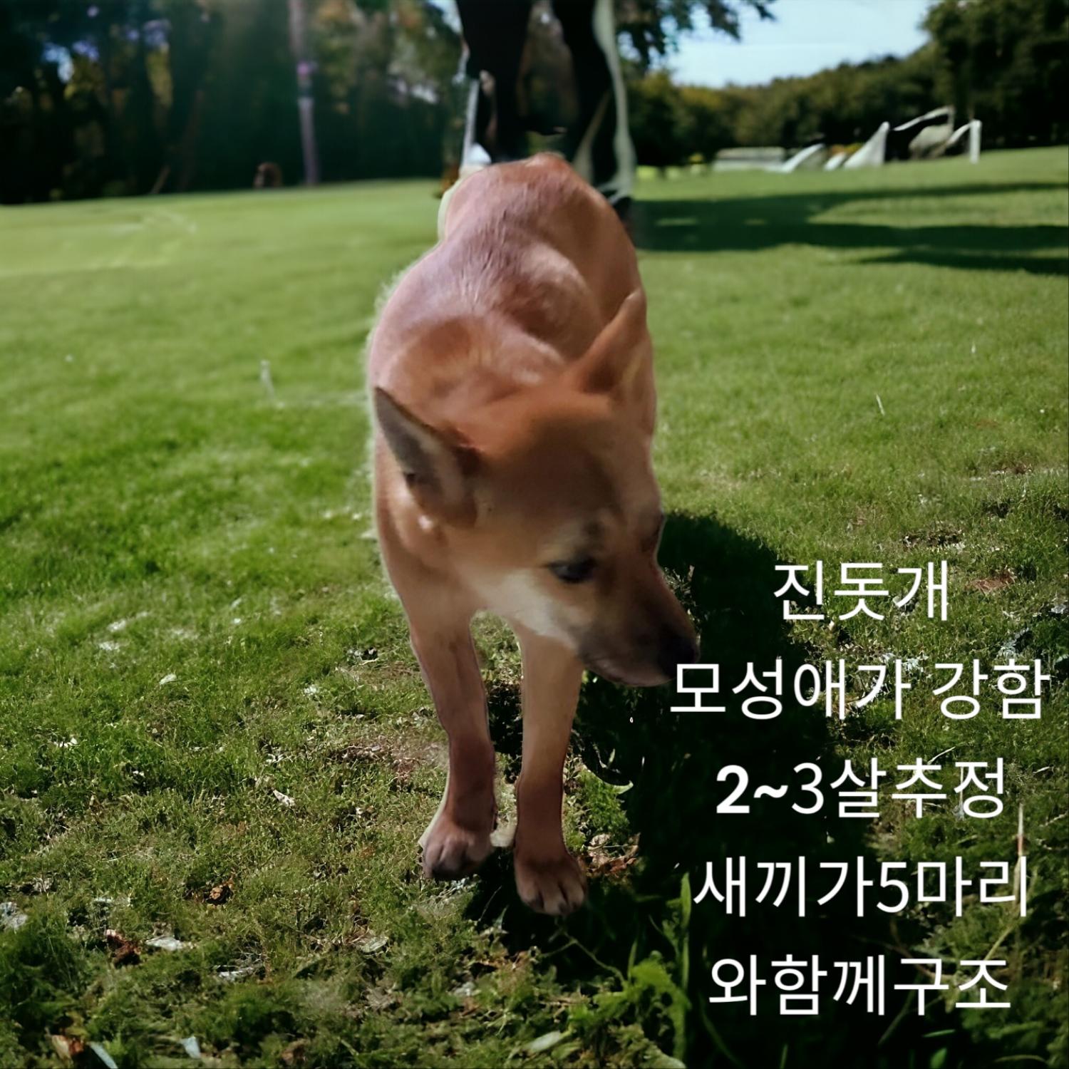 성주유기동물보호센터_447521202400142