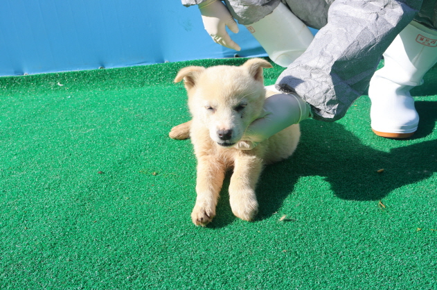 제주 동물보호센터_450650202400951