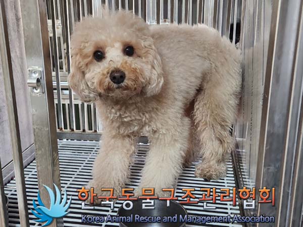 한국동물구조관리협회_411304202400107