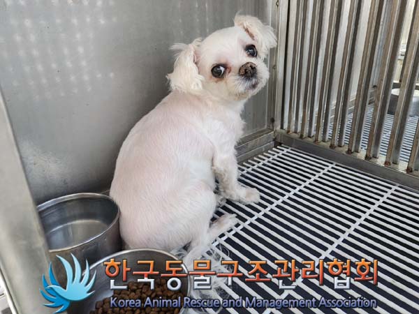 한국동물구조관리협회_441409202400403