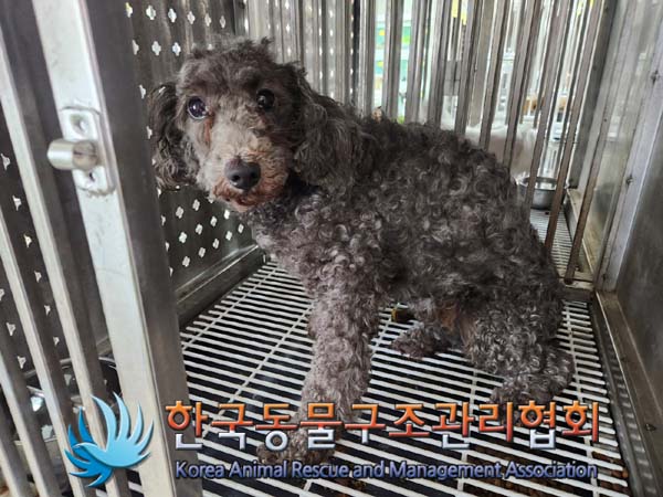 한국동물구조관리협회_441414202400164