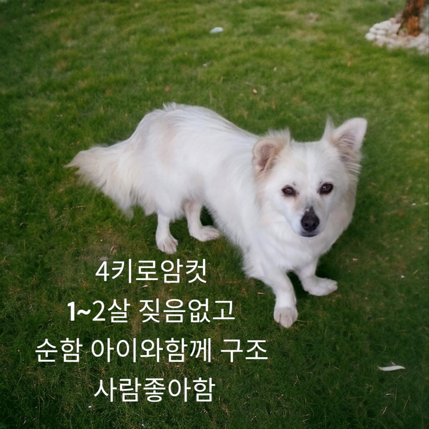 성주유기동물보호센터_447521202400144