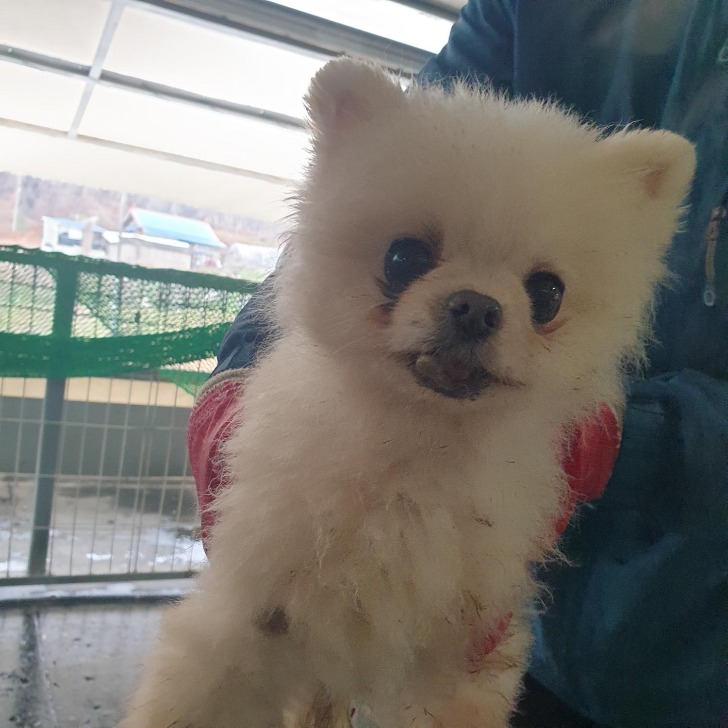 남양동물보호센터_441553202401214