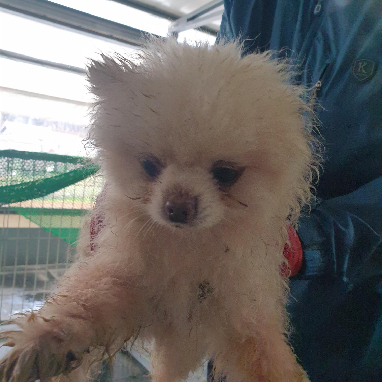 남양동물보호센터_441553202401213