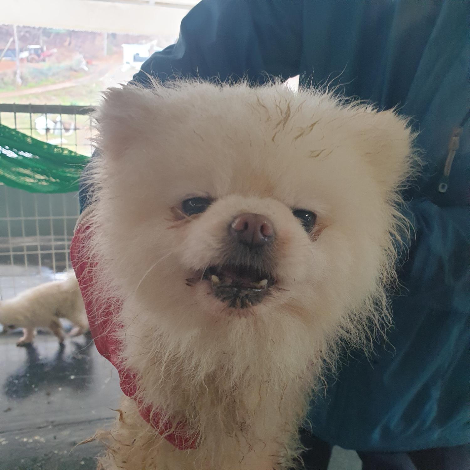 남양동물보호센터_441553202401215