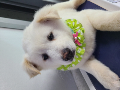 사단법인 동부_426340202400057