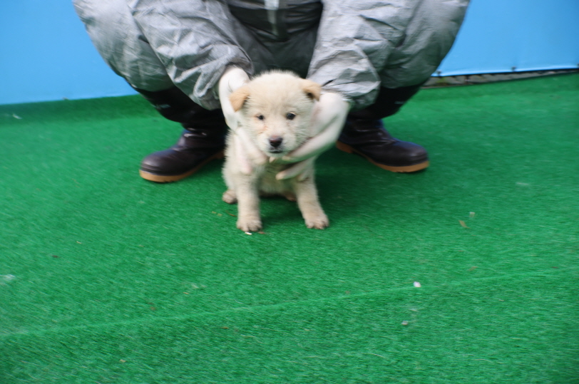 제주 동물보호센터_450650202401004