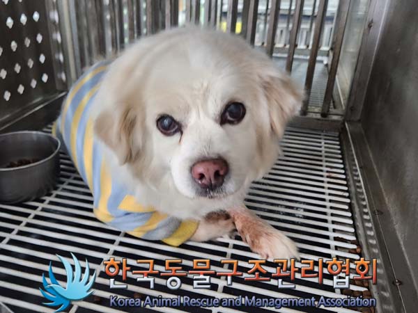 한국동물구조관리협회_441414202400166