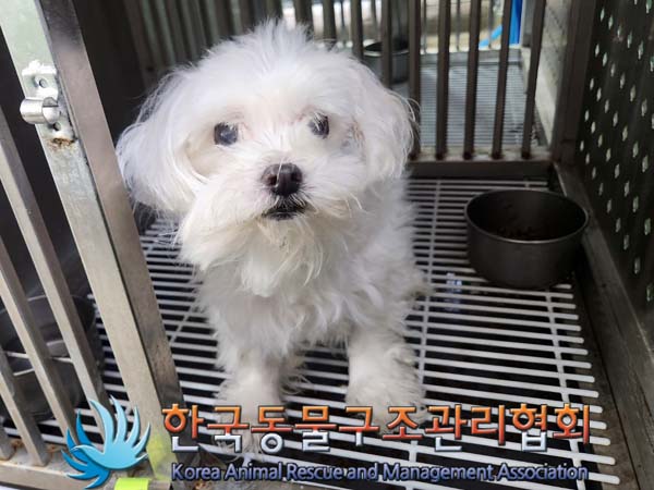 한국동물구조관리협회_441398202400111