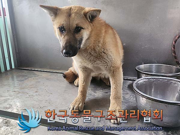 한국동물구조관리협회_441414202400169