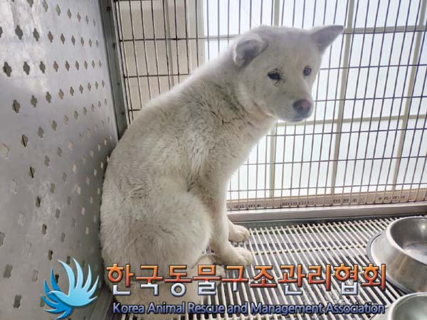 한국동물구조관리협회_441560202400333