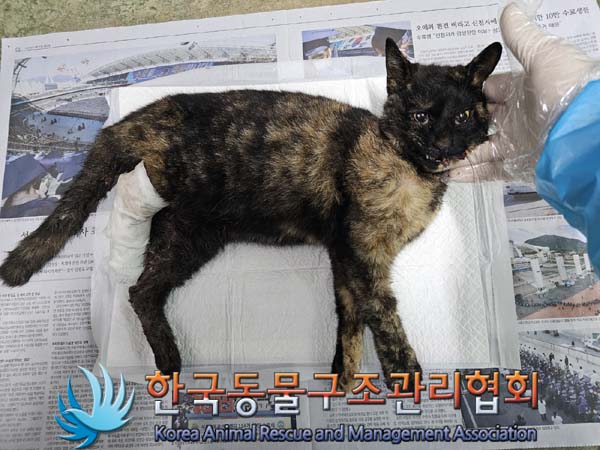 종료(자연사) 한국…