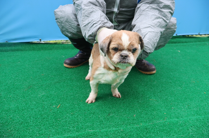 제주 동물보호센터_450650202401034
