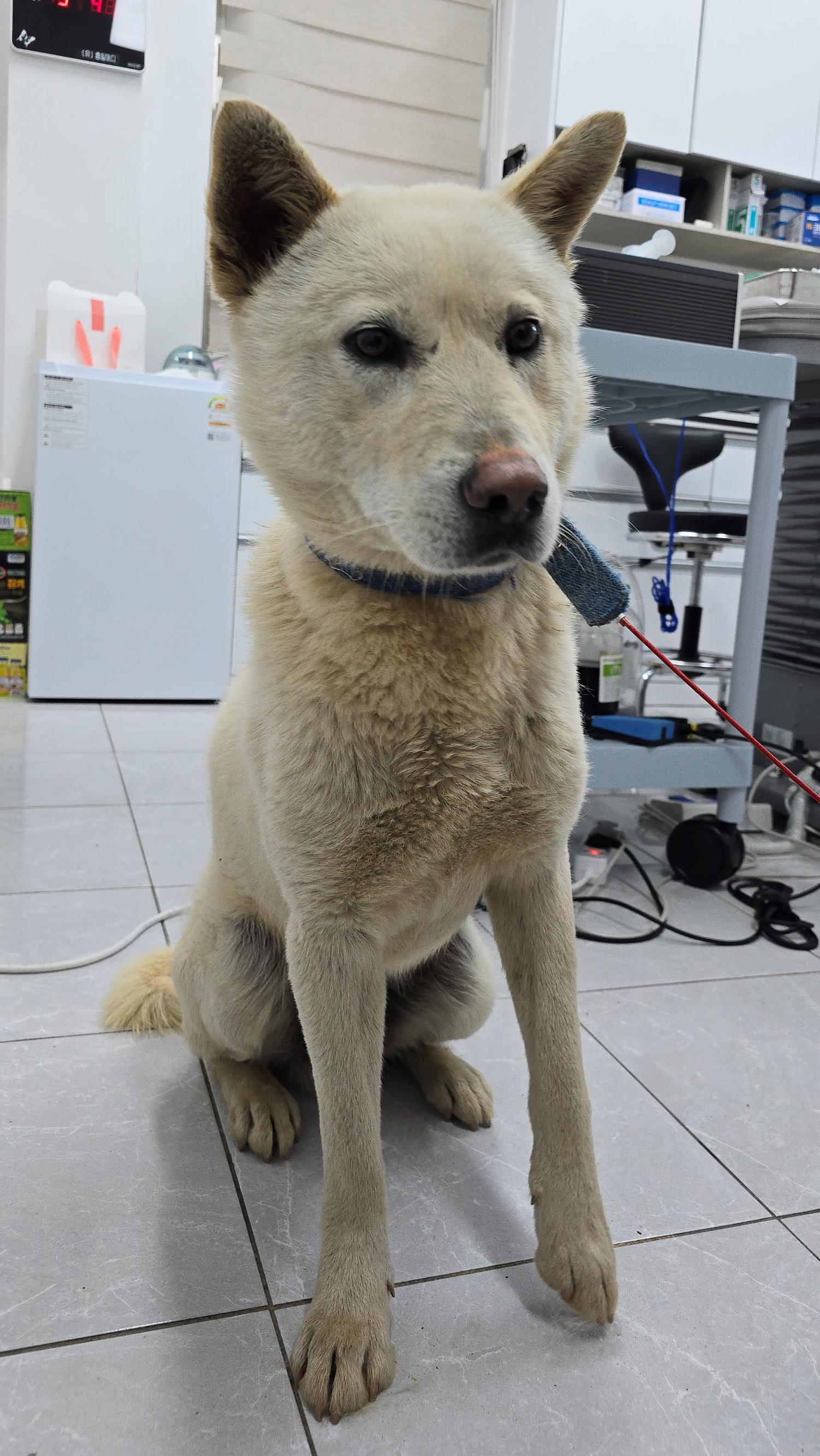 담양군 동물보호센터_446485202400126