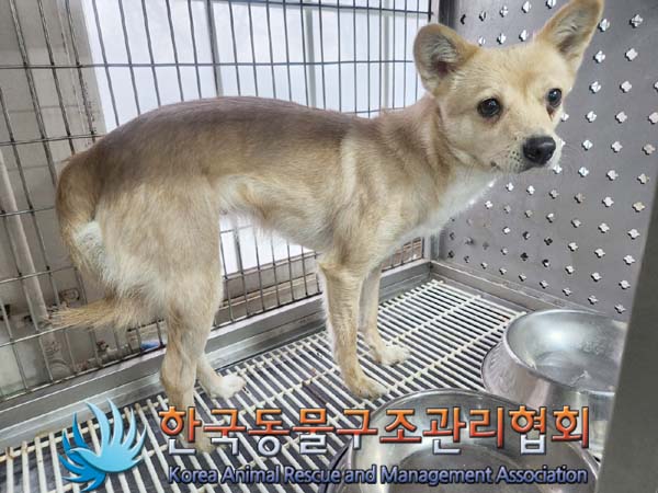 한국동물구조관리협회_441559202400304