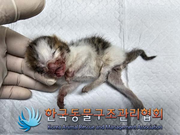 종료(자연사) 한국…