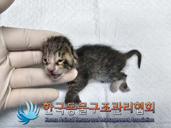 종료(자연사) 한국…