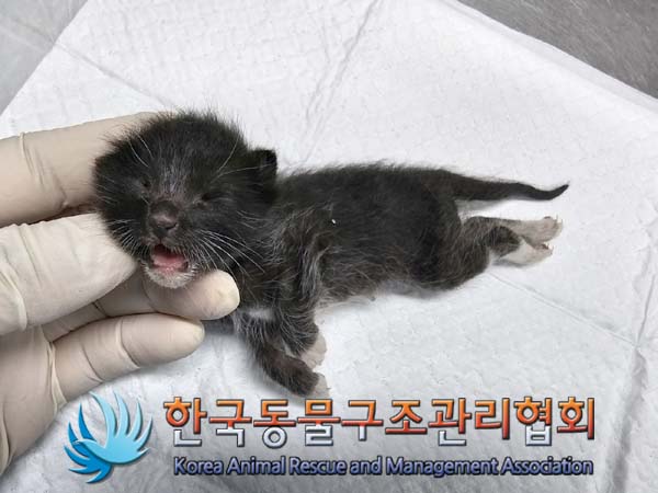 종료(자연사) 한국…