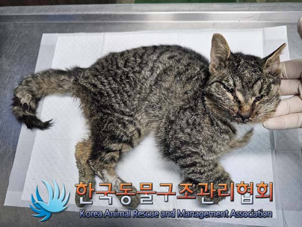 한국동물구조관리협회_411315202400153