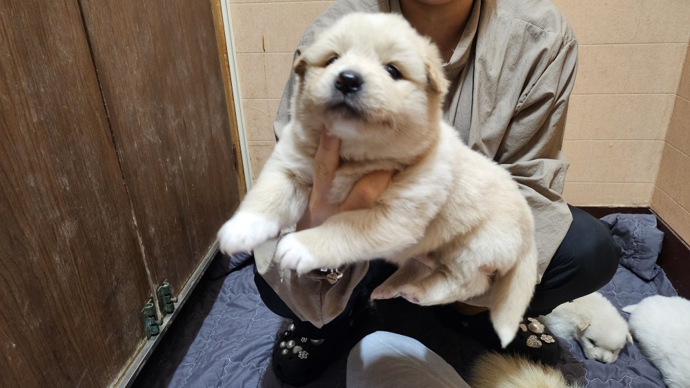서신동물병원_445464202401241