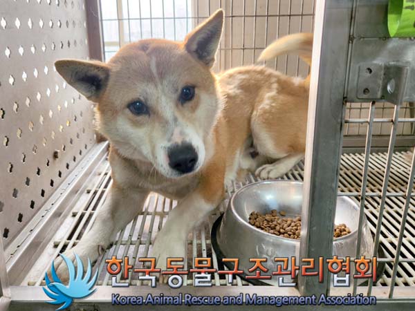 한국동물구조관리협회_441559202400308