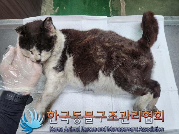 종료(자연사) 한국…
