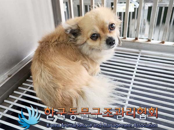 한국동물구조관리협회_411318202400082