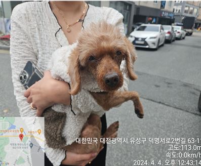 대전동물보호센터_430367202400236