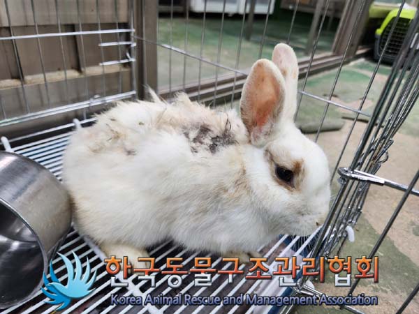 한국동물구조관리협회_411315202400158