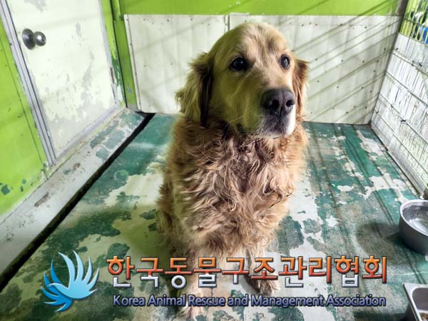 한국동물구조관리협회_411307202400154